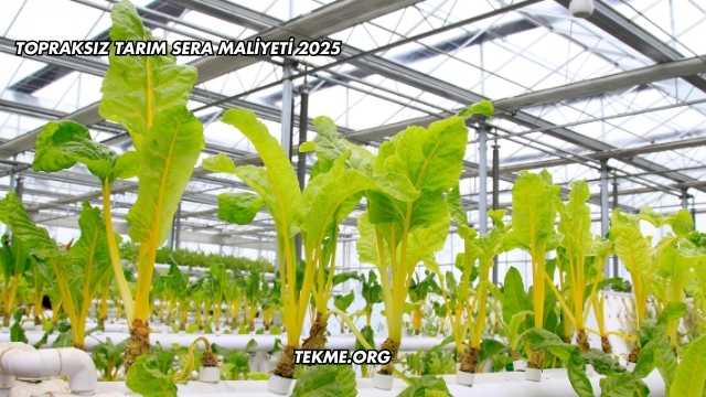 Topraksız Tarım Sera Maliyeti 2025