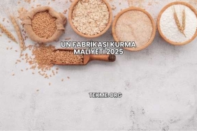 Un Fabrikası Kurma Maliyeti 2025
