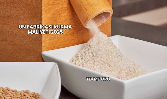 Un Fabrikası Kurma Maliyeti 2025