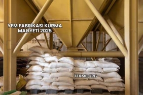 Yem Fabrikası Kurma Maliyeti 2025
