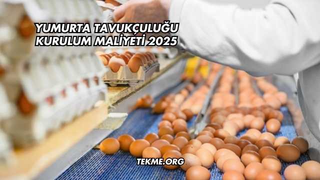 Yumurta Tavukçuluğu Kurulum Maliyeti 2025