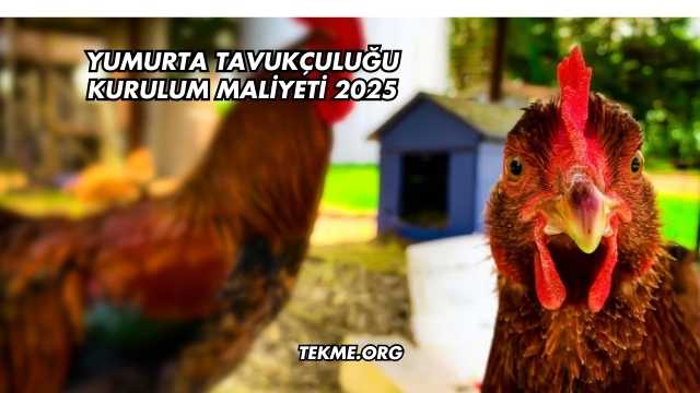 Yumurta Tavukçuluğu Kurulum Maliyeti 2025