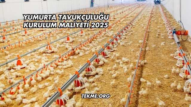 Yumurta Tavukçuluğu Kurulum Maliyeti 2025