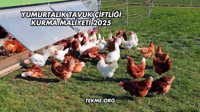 Yumurtalık Tavuk Çiftliği Kurma Maliyeti 2025