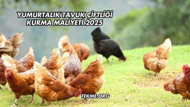 Yumurtalık Tavuk Çiftliği Kurma Maliyeti 2025