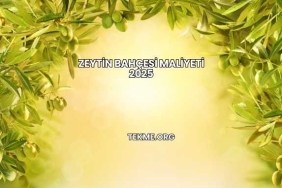 Zeytin Bahçesi Maliyeti 2025