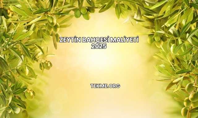 Zeytin Bahçesi Maliyeti 2025