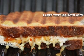 1 Adet Tost Maliyeti 2025