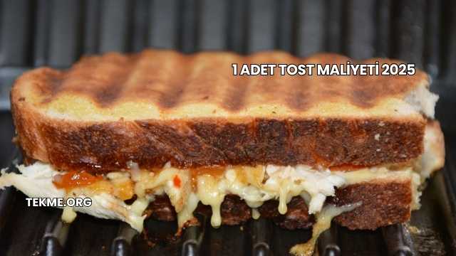 1 Adet Tost Maliyeti 2025