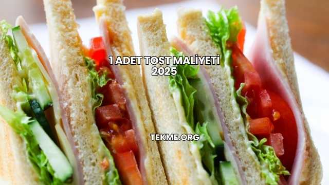 1 Adet Tost Maliyeti 2025