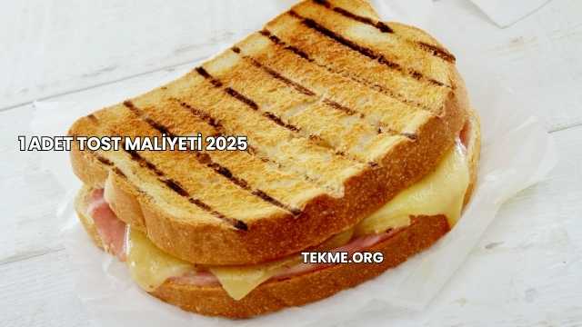 1 Adet Tost Maliyeti 2025