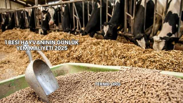 1 Besi Hayvanının Günlük Yem Maliyeti 2025