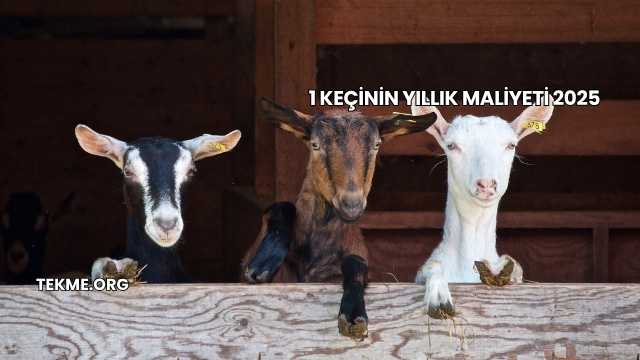 1 Keçinin Yıllık Maliyeti 2025
