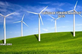 1 Rüzgar Türbini Maliyeti 2025