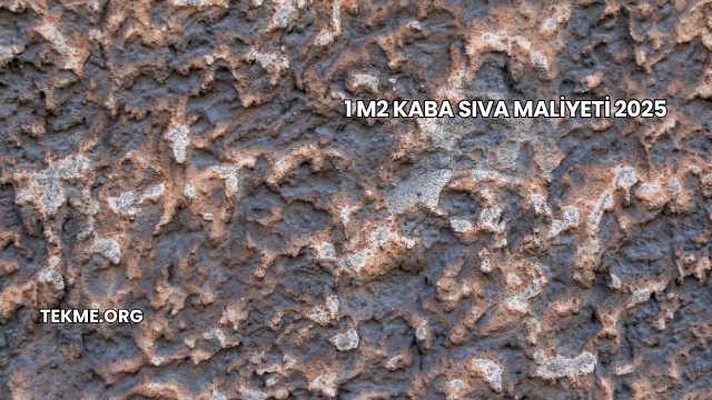 1 m2 Kaba Sıva Maliyeti 2025