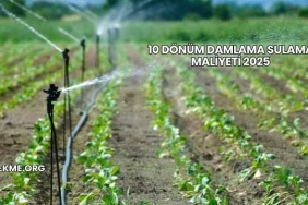 10 Dönüm Damlama Sulama Maliyeti 2025