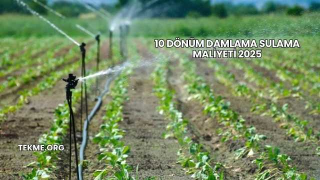 10 Dönüm Damlama Sulama Maliyeti 2025