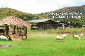 100 Büyükbaş Hayvan Çiftliği Maliyeti 2025