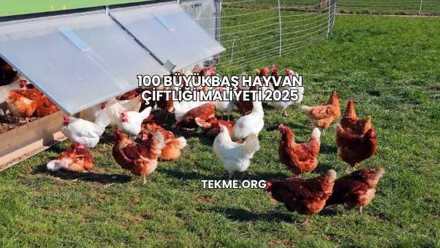 100 Büyükbaş Hayvan Çiftliği Maliyeti 2025