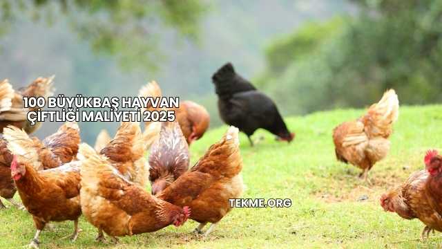 100 Büyükbaş Hayvan Çiftliği Maliyeti 2025