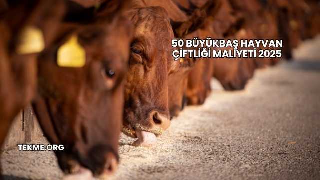 50 Büyükbaş Hayvan Çiftliği Maliyeti 2025