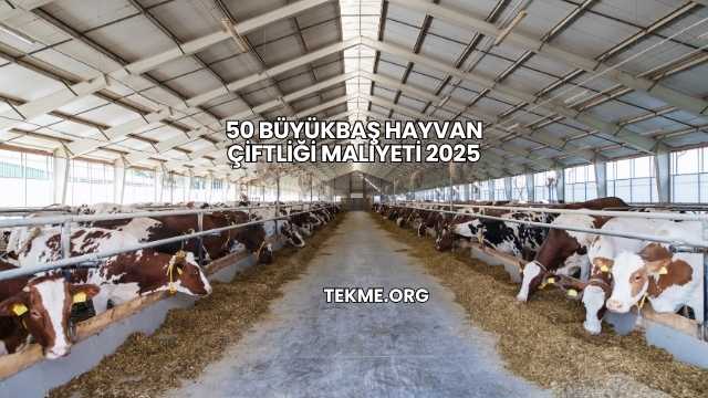 50 Büyükbaş Hayvan Çiftliği Maliyeti 2025