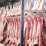 50 m2 Soğuk Hava Deposu Maliyeti 2025