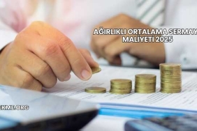 Ağırlıklı Ortalama Sermaye Maliyeti 2025