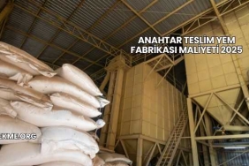 Anahtar Teslim Yem Fabrikası Maliyeti 2025