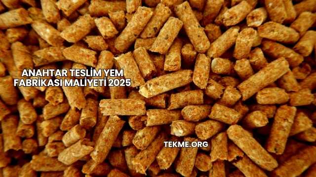 Anahtar Teslim Yem Fabrikası Maliyeti 2025