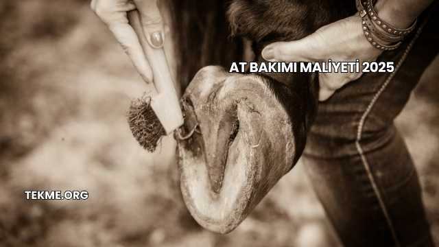 At Bakımı Maliyeti 2025