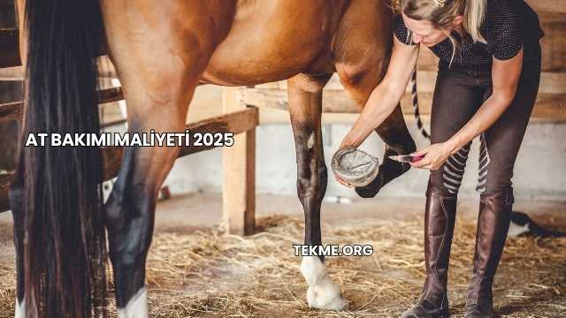 At Bakımı Maliyeti 2025