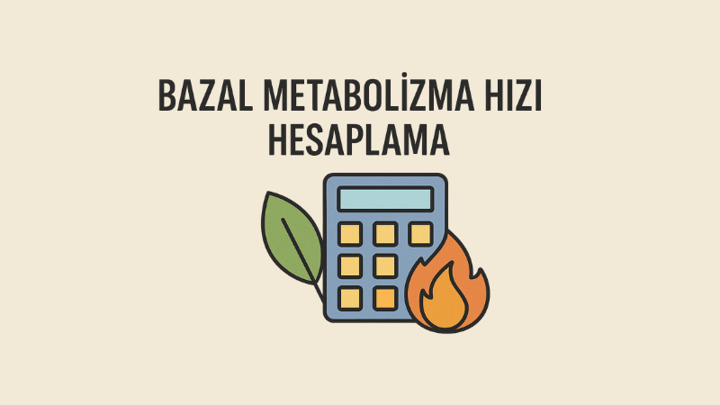 Bazal Metabolizma Hızı Hesaplama