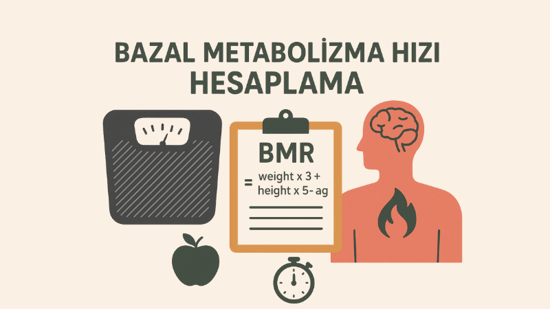 Bazal Metabolizma Hızı Hesaplama