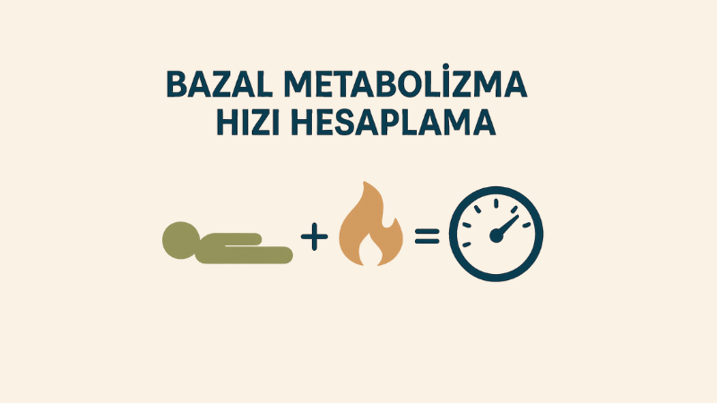 Bazal Metabolizma Hızı Hesaplama