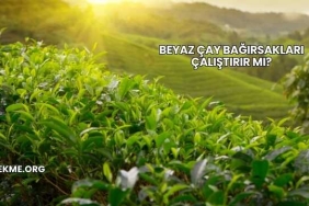 Beyaz Çay Bağırsakları Çalıştırır mı?