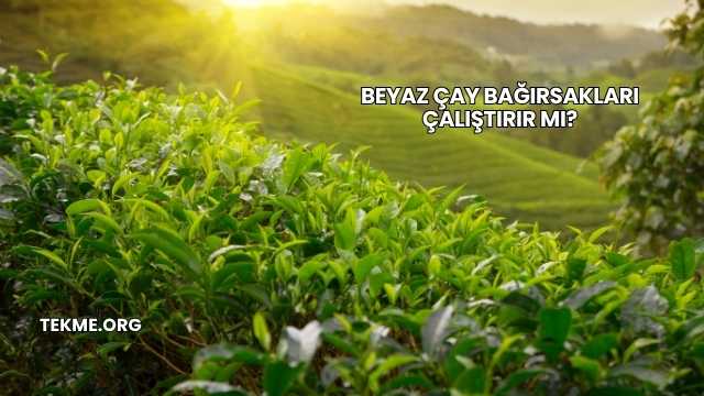 Beyaz Çay Bağırsakları Çalıştırır mı?