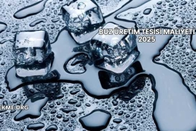 Buz Üretim Tesisi Maliyeti 2025