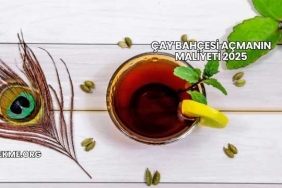 Çay Bahçesi Açmanın Maliyeti 2025