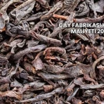 Çay Fabrikası Kurma Maliyeti 2025