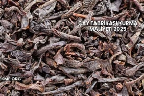Çay Fabrikası Kurma Maliyeti 2025