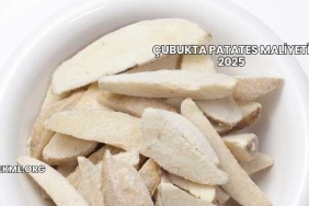 Çubukta Patates Maliyeti 2025