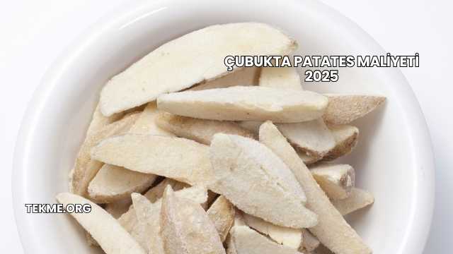 Çubukta Patates Maliyeti 2025