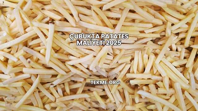 Çubukta Patates Maliyeti 2025