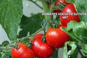 Domates Vücutta Su Tutar mı?