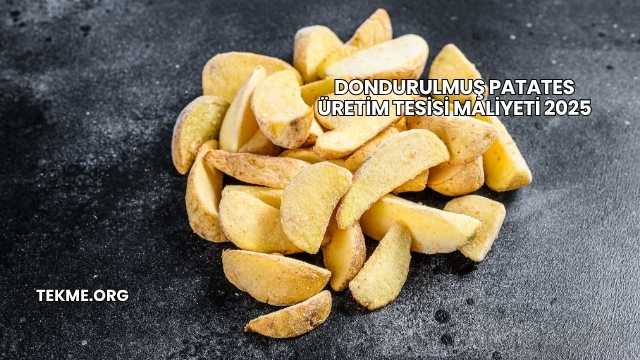 Dondurulmuş Patates Üretim Tesisi Maliyeti 2025