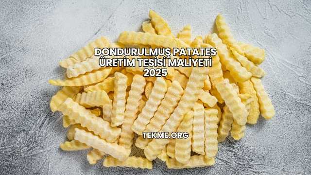 Dondurulmuş Patates Üretim Tesisi Maliyeti 2025