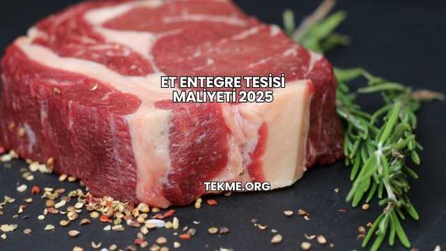 Et Entegre Tesisi Maliyeti 2025