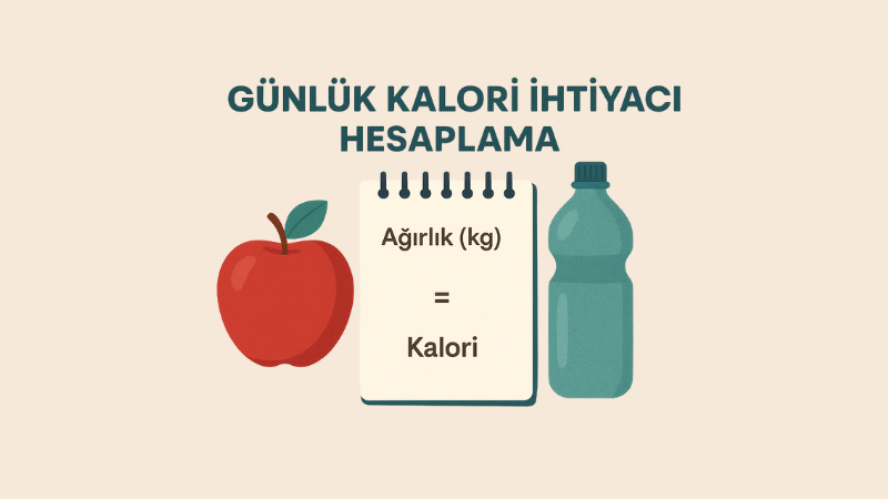 Günlük Kalori İhtiyacı Hesaplama