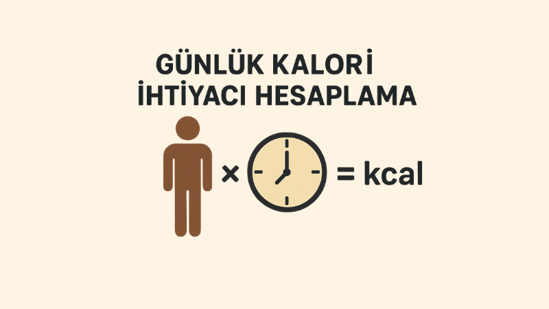 Günlük Kalori İhtiyacı Hesaplama